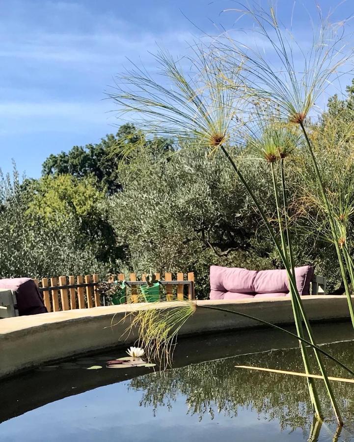 Aprisa Apartment Piedimonte Etneo Εξωτερικό φωτογραφία