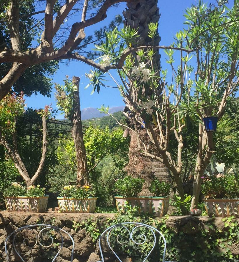 Aprisa Apartment Piedimonte Etneo Εξωτερικό φωτογραφία