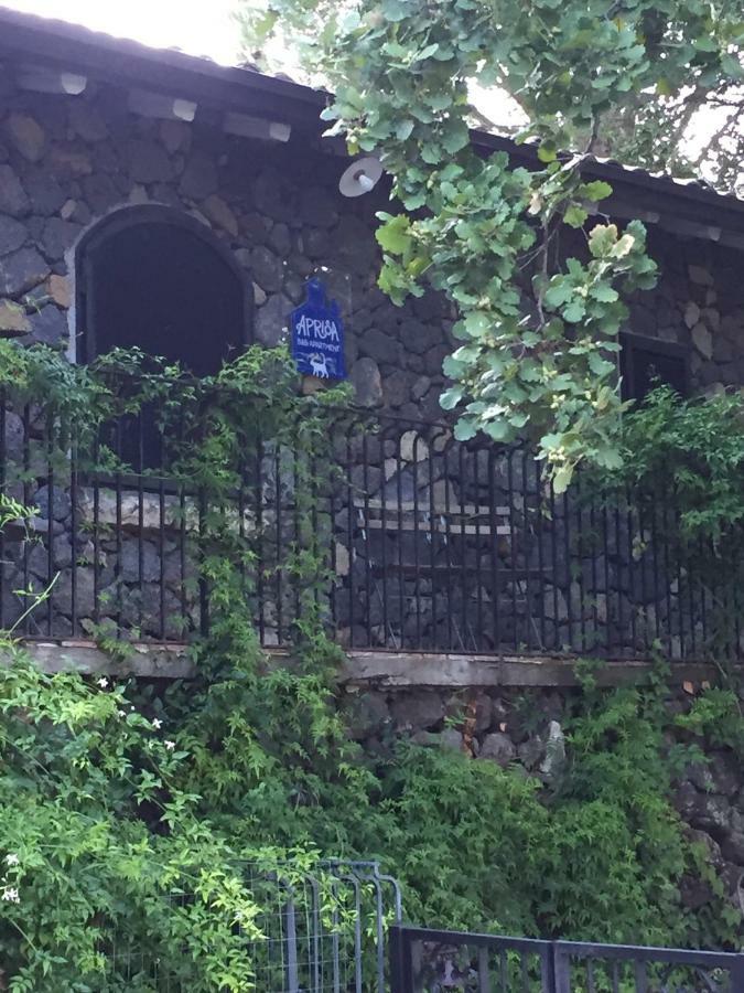 Aprisa Apartment Piedimonte Etneo Εξωτερικό φωτογραφία